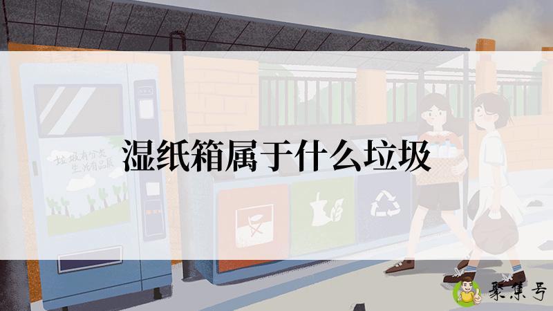 湿纸箱属于什么垃圾