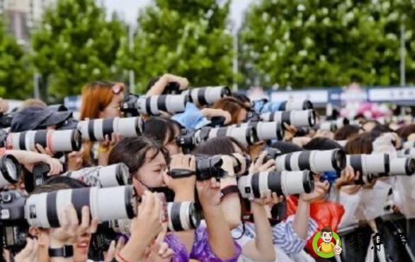 站姐什么意思饭圈