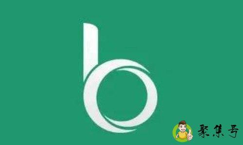 bds在小说里什么意思