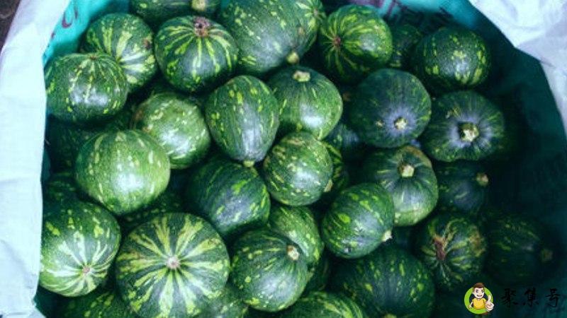 青皮小南瓜的营养价值