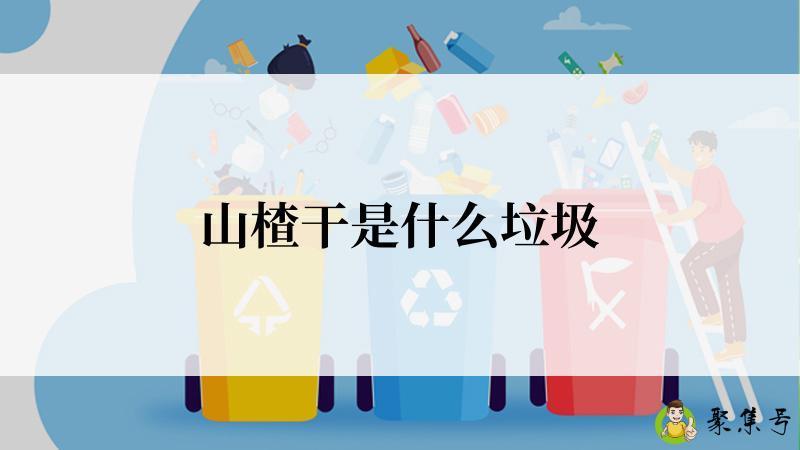 山楂干是什么垃圾