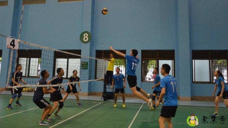 气排球是什么运动