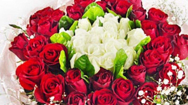 50朵玫瑰代表什么意思