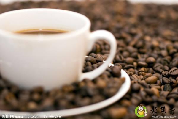 单品咖啡和意式咖啡的区别