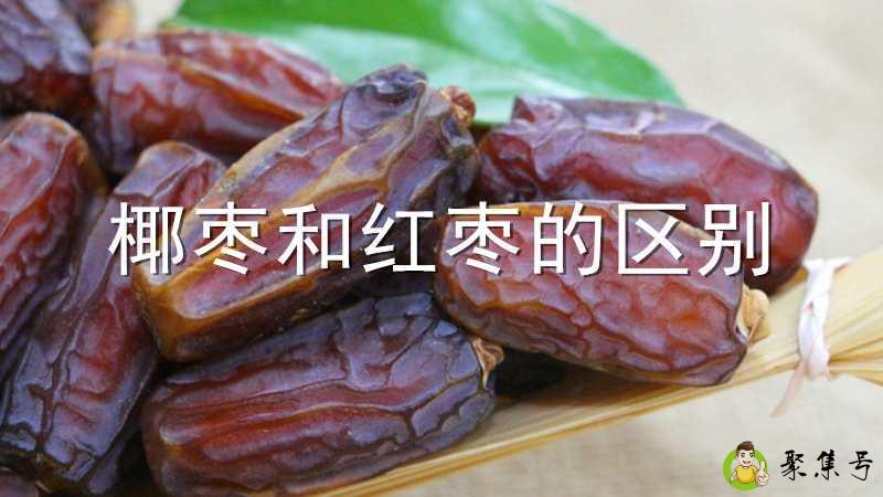 椰枣和红枣的区别
