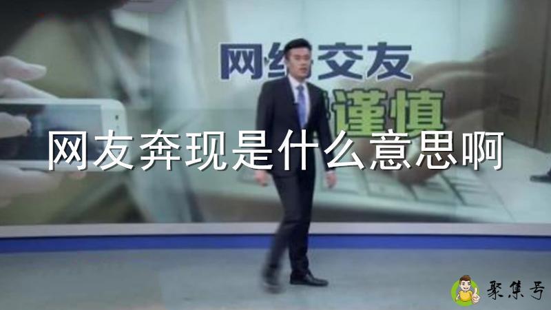 网友奔现是什么意思啊