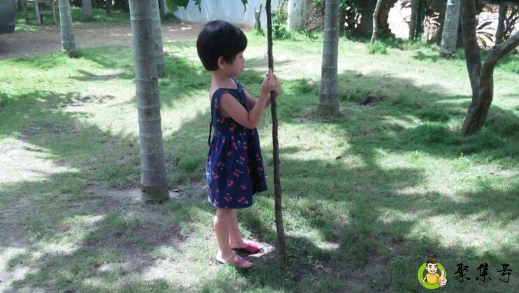 说话先举手是什么梗