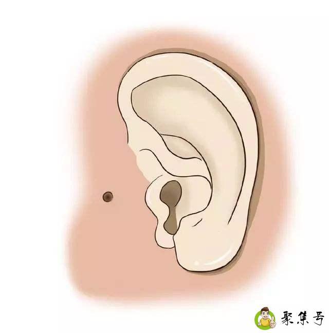 前仓粮后仓糠的解释