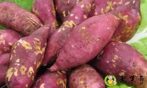 100克红薯多大