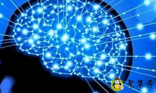 人类大脑开发了多少