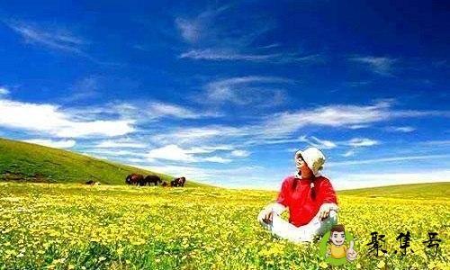 无人问津的港口总是开满鲜花.意思