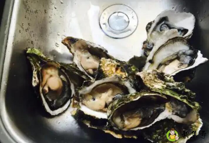生蚝提前开好几小时可以吗