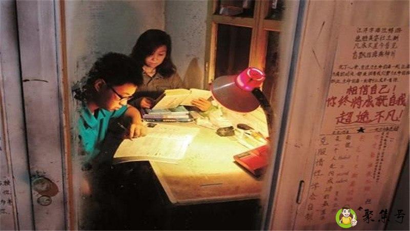 大学伴读生是什么意思-