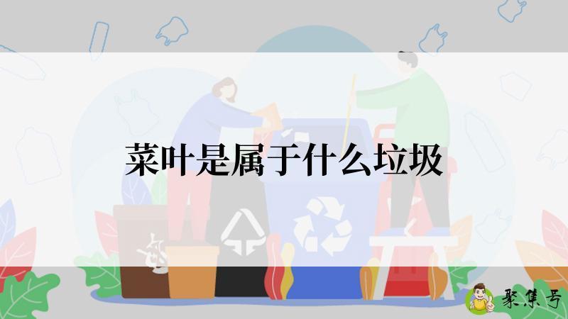 菜叶是属于什么垃圾