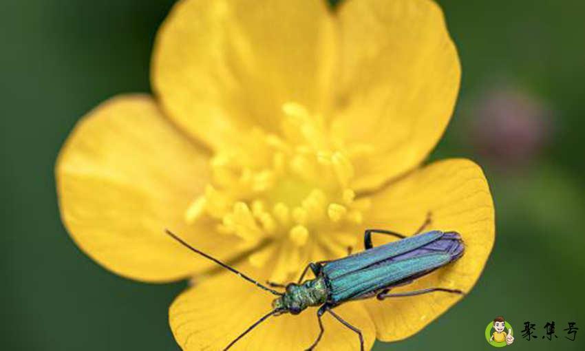 家里如何找马陆窝