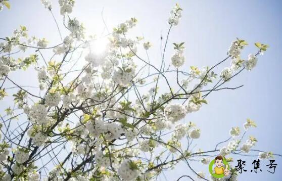 小悲小欢小流年什么意思