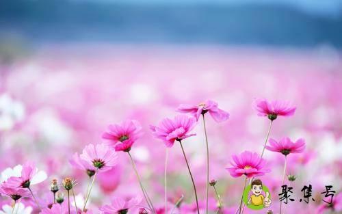 480px是多少尺寸