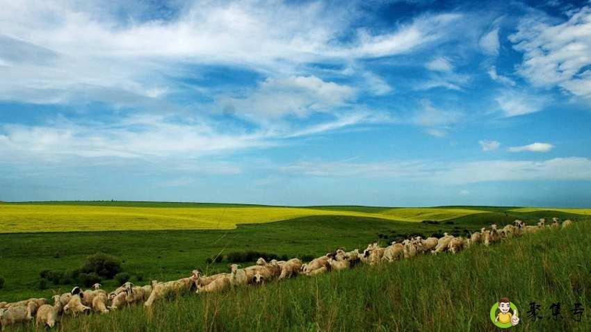 去内蒙古一定要买的