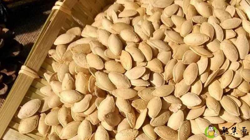 白瓜子与南瓜子的区别