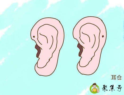 耳仓是什么