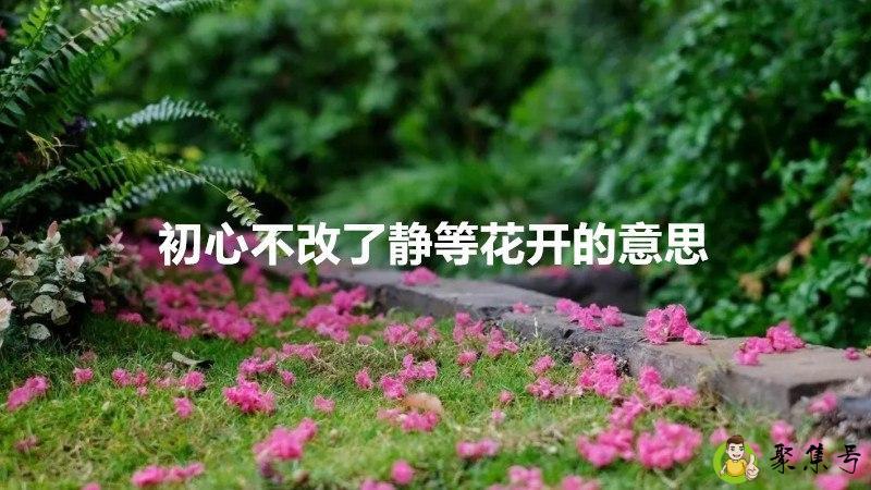 初心不改了静等花开的意思
