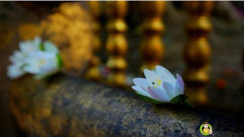 随喜自在是什么意思