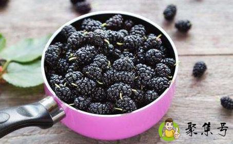 桑葚里面有寄生虫吗