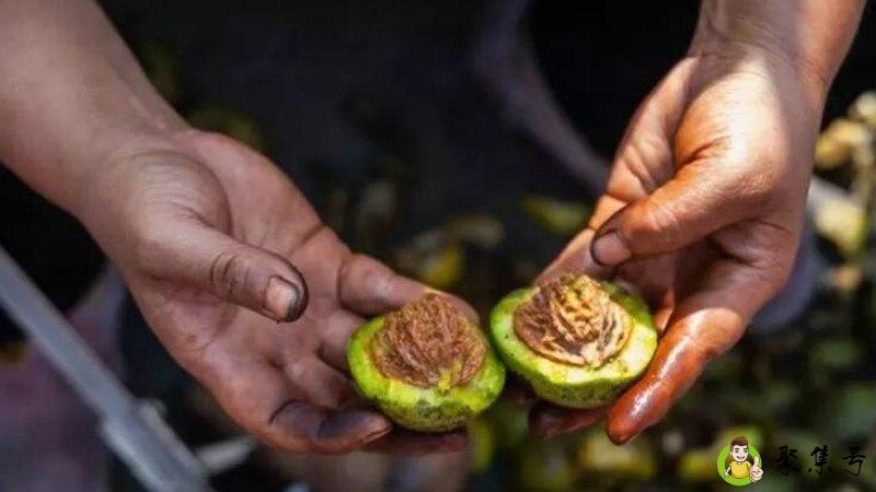 剥青皮核桃手黑怎么办