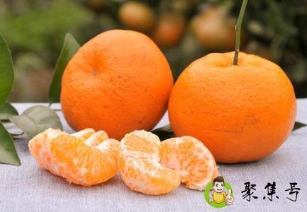 丑八怪和耙耙柑的区别