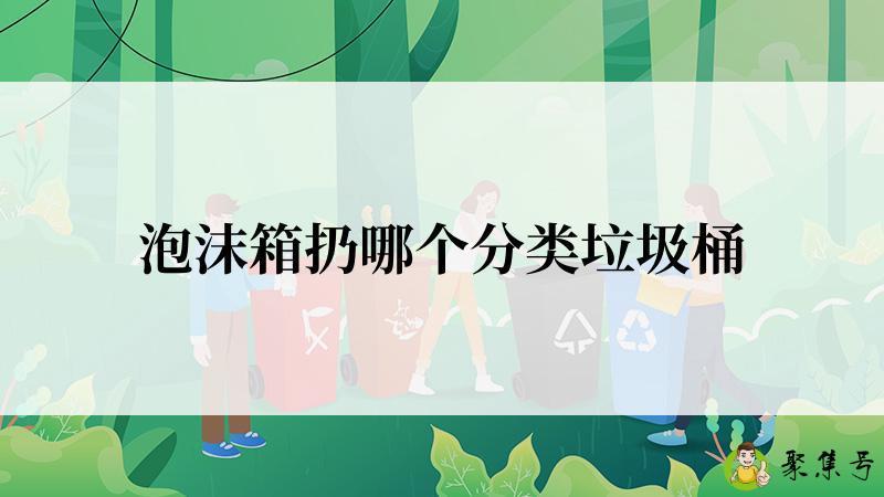 泡沫箱扔哪个分类垃圾桶