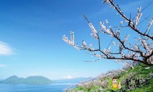 春季是一年的几分之几