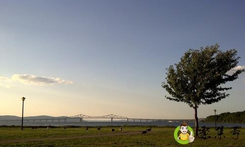 风一共有多少级