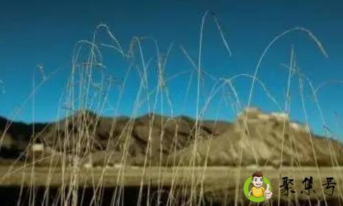 时岁枯荣什么意思