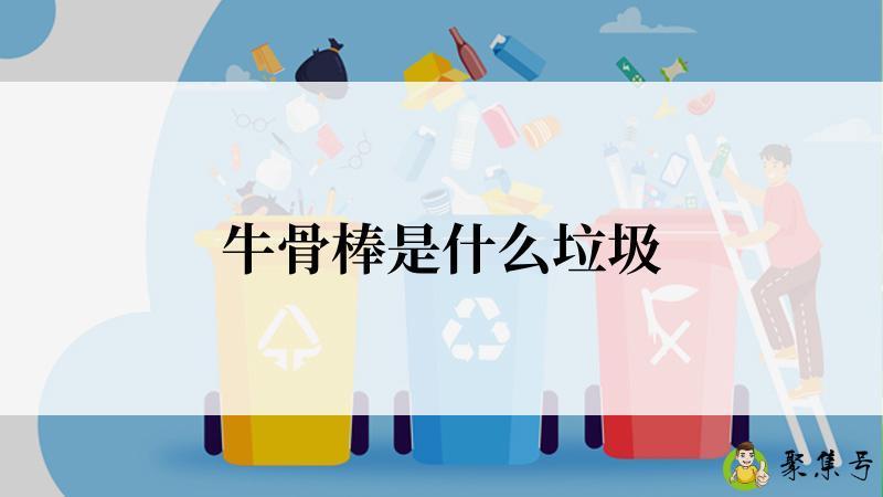 牛骨棒是什么垃圾