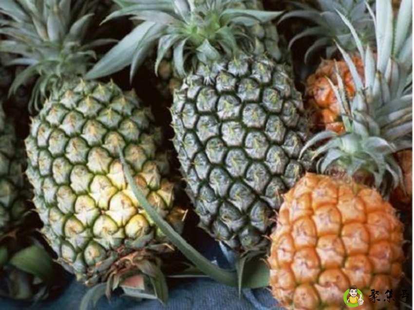 泡菠萝用热水还是冷水