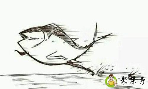 闲鱼玩家什么意思