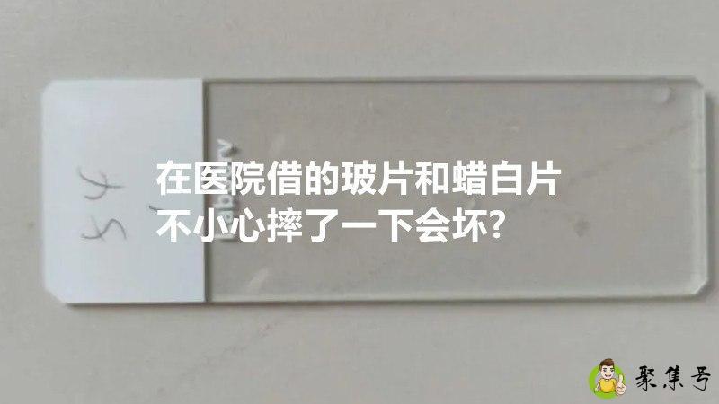 在医院借的玻片和蜡白片不小心摔了一下会坏-