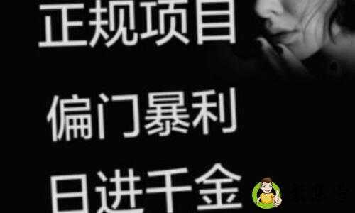 灰色项目是啥意思