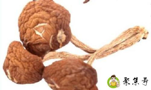 干茶树菇怎么泡