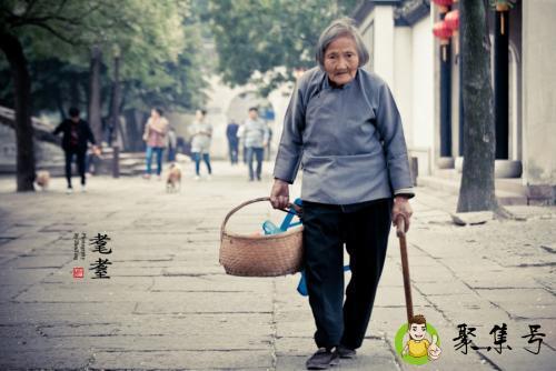 毛至之年啥意思