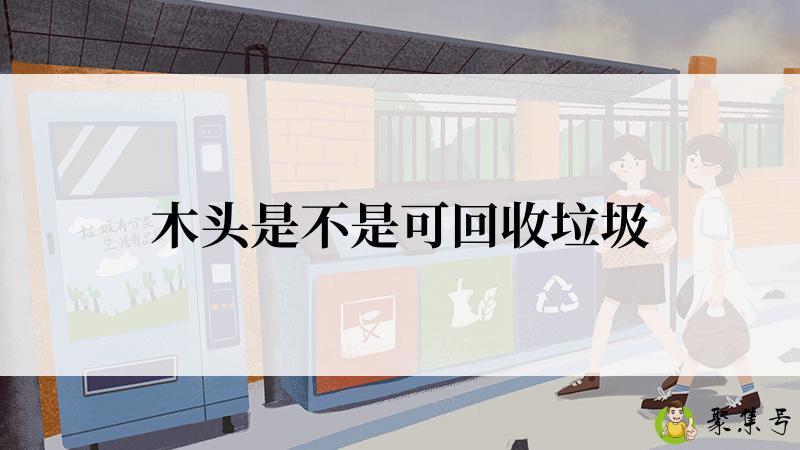 木头是不是可回收垃圾