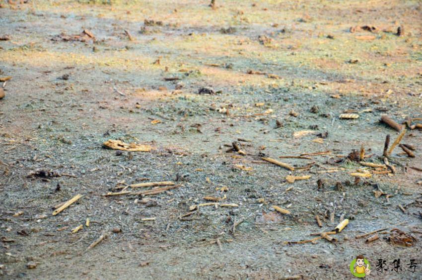 土壤污染的特点