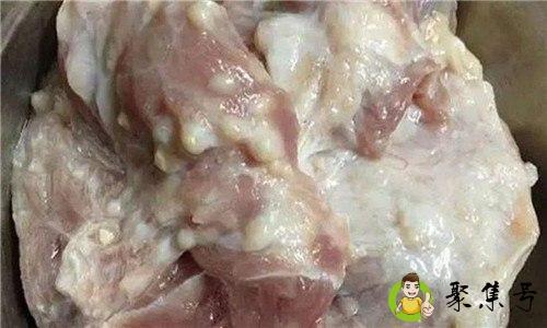 猪的淋巴肉在哪个部位