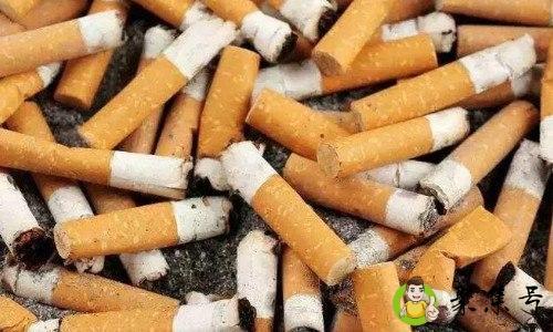 烟头属于哪种垃圾