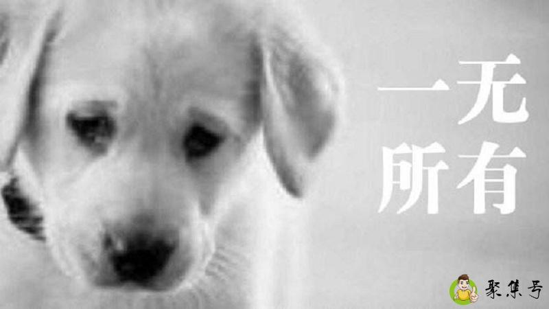 什么叫舔狗是什么意思