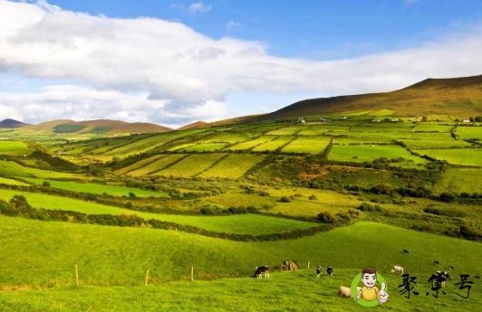 爱尔兰是哪个国家的