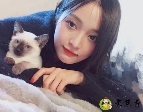 女鹅是啥意思是什么