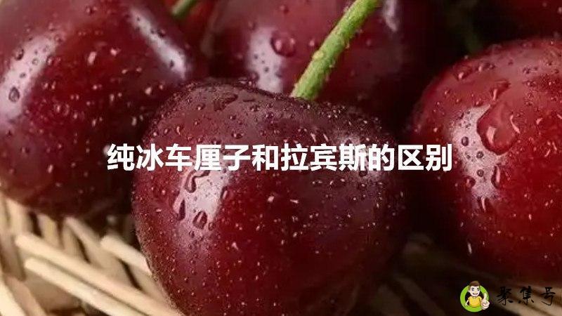 纯冰车厘子和拉宾斯的区别