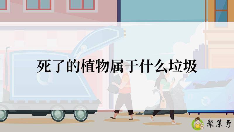 死了的植物属于什么垃圾
