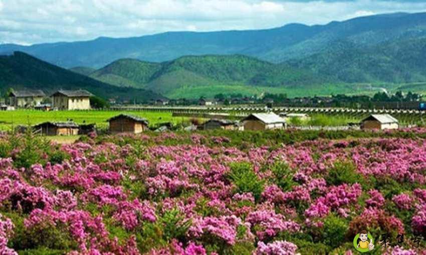 五月份云南适合穿什么